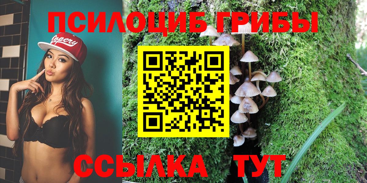 Псилоцибиновые грибы GOLDEN TEACHER  Вход с VPN  Белебей 