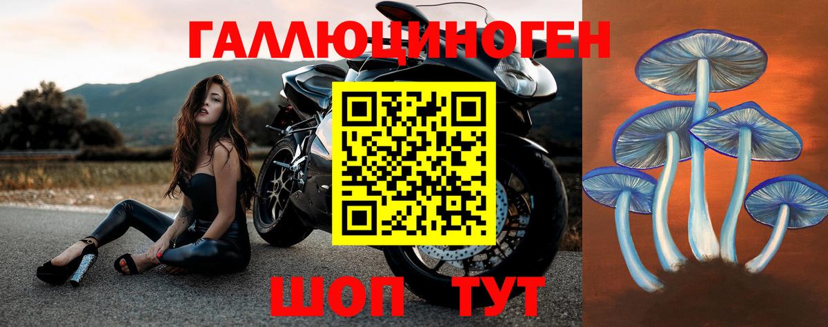 Галлюциногенные грибы мицелий Белебей